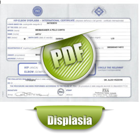 PDF Displasia