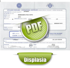 PDF Displasia